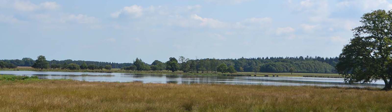 Drenthe | Mantinge