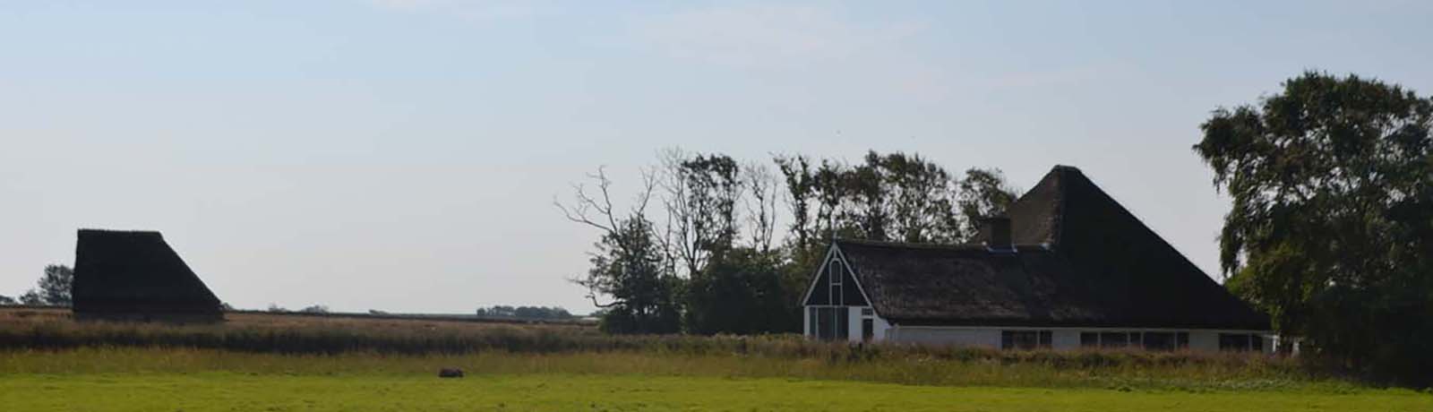 Noord-Holland | Texel