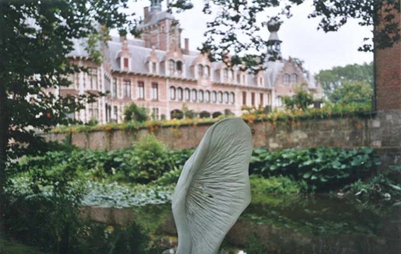 0720 Kasteel Ooijdonk Beeld