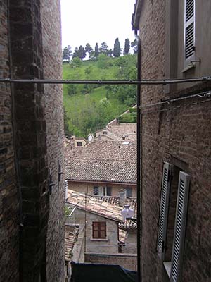 20080505Urbino01