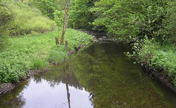 20080519Monschau01