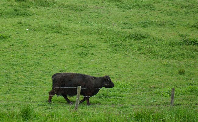 dag02Ooypolder