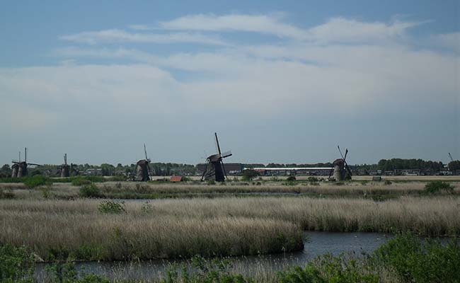 dag07Kinderdijk1