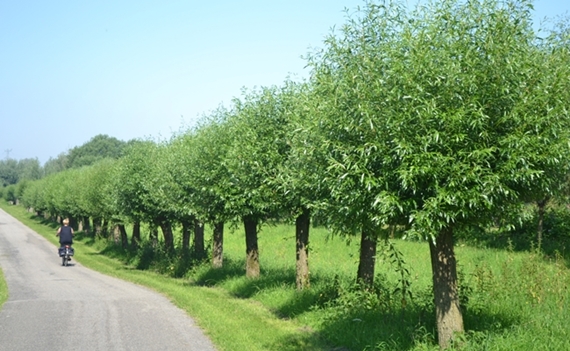 2012-07-25-Dordrecht02