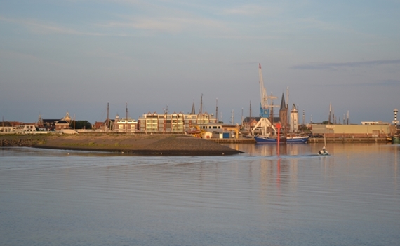 130804-harlingen1