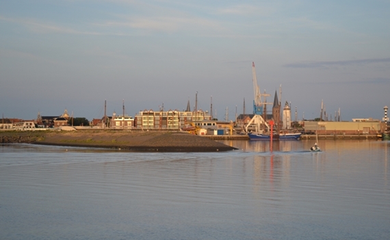 130804-harlingen1