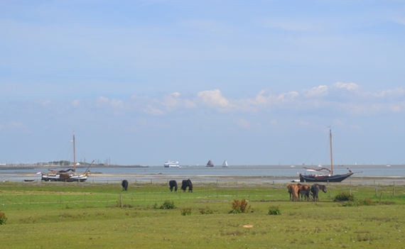 130805-vlieland2