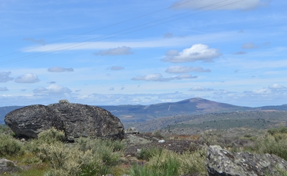 Veel grote stenen in het landschap