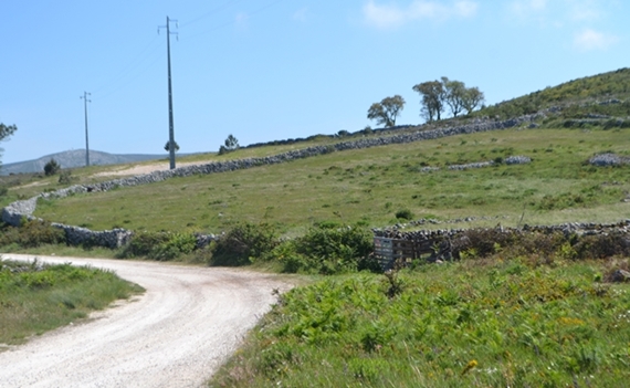 prachtig ruig berggebied