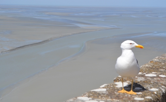 150517 zicht op Baai