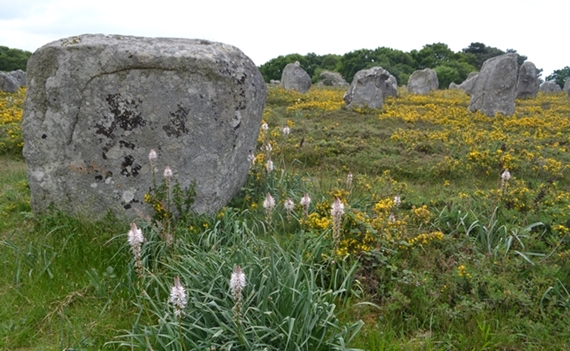 150521 menhirs Carnac