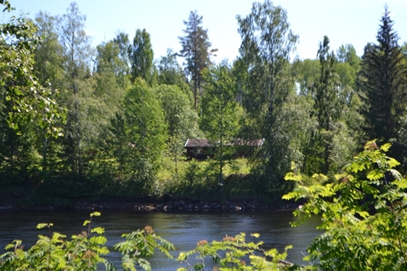 160625DalälvenRivier