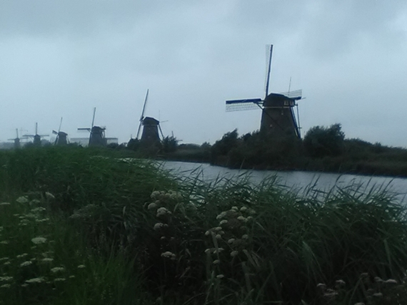 160725 Kinderdijk