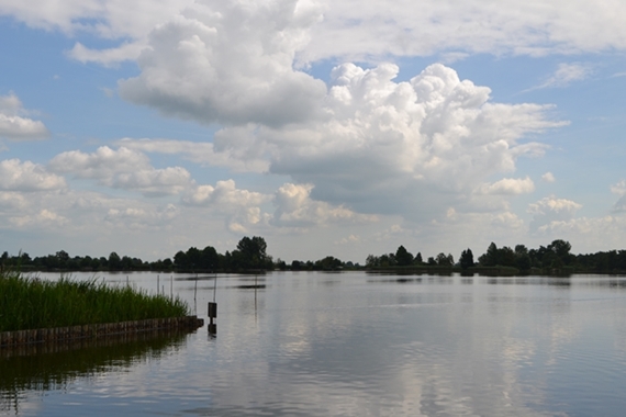 160726 ReeuwijksePlassen1