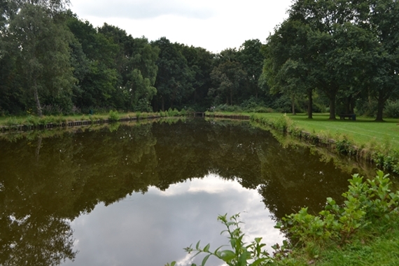 160726 ReeuwijksePlassen2