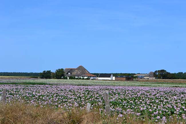 170717 texel 1