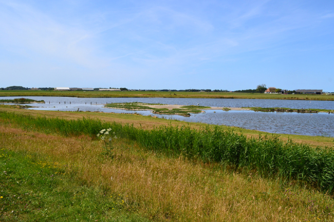 170717 texel 2