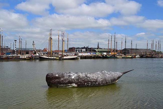 180713 Harlingen