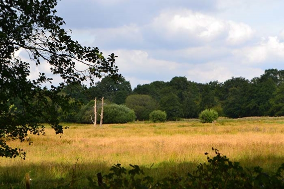 natuurgebied schoonhoven