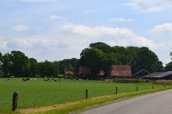 190531 Ootmarsum 05