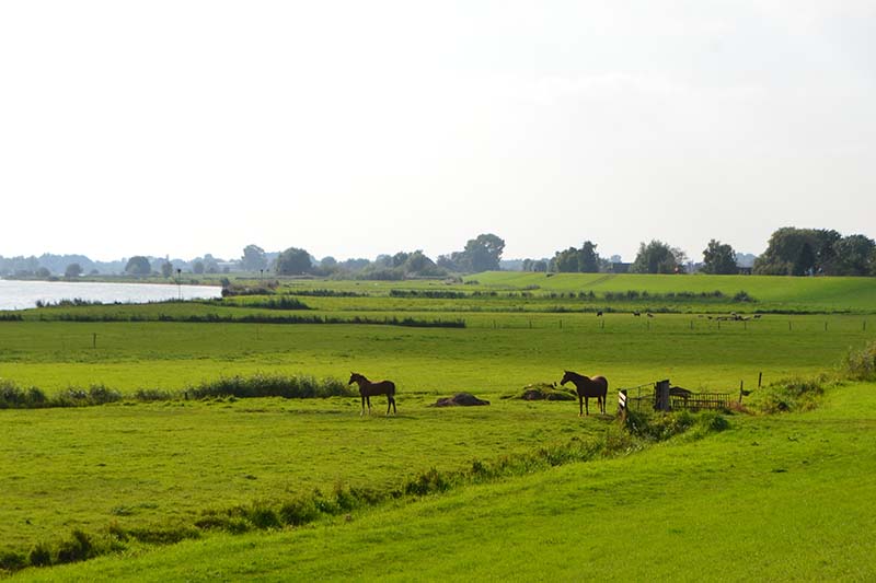 210922 Zalk Kampen Uiterwaard