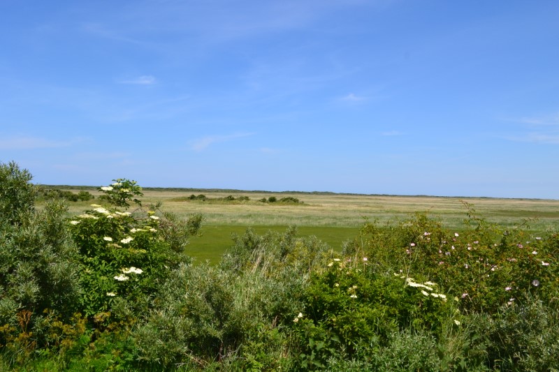 220615 Schiermonnikoog