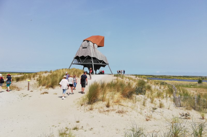 220618 marker wadden