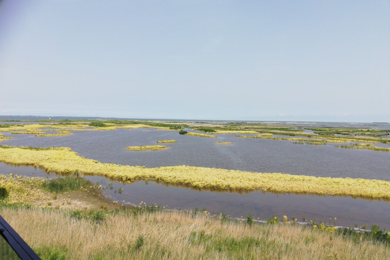 220618 marker wadden