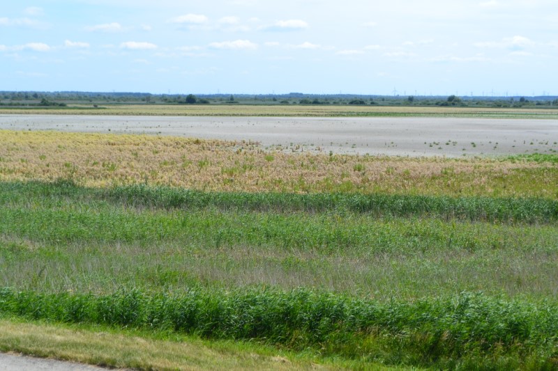 220621 Oostvaardersplassen rondje 18