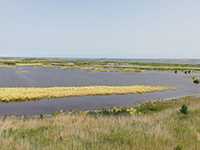 marker wadden front