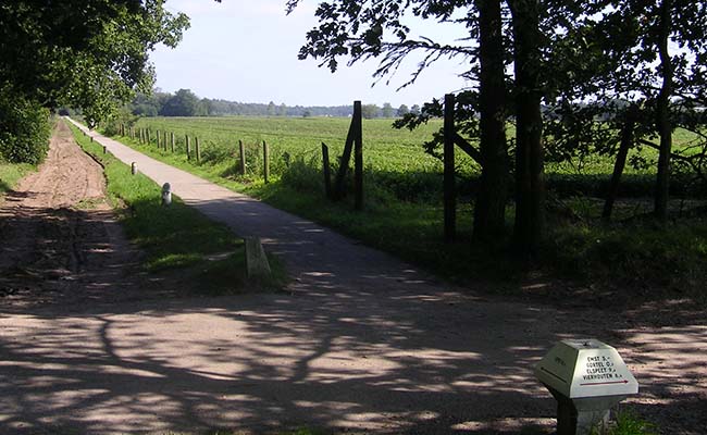 Veluwe01