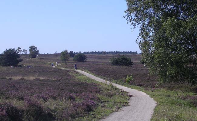 Veluwe02