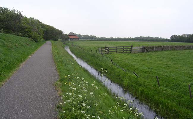 waalburgTexel