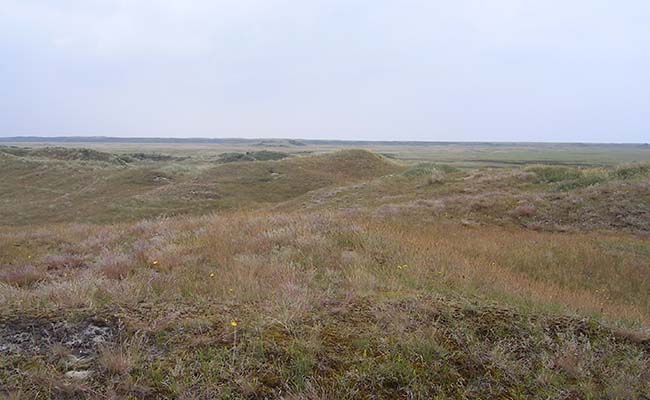 06texel01