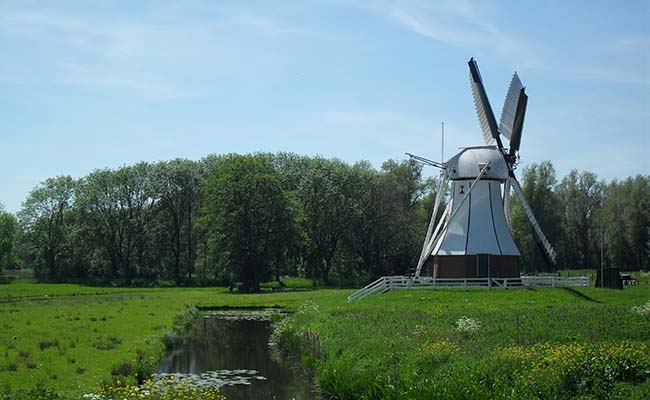 20100605WitteMolen