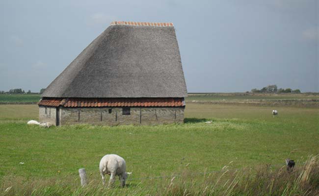 texel03